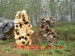 太湖石14_重慶星琳景觀石材有限公司