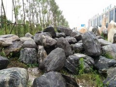 康巴石11_重慶星琳景觀石材有限公司
